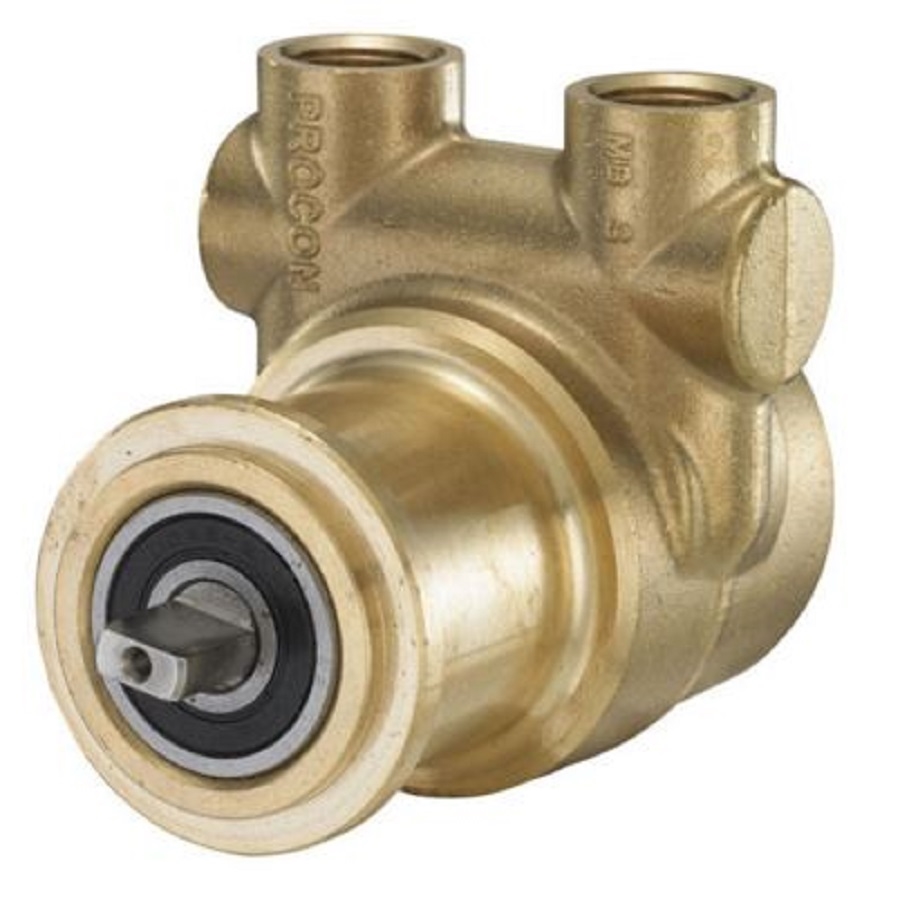 Procon 102C110F11BB Brass Rotary Vane Water Pump, 110 GPH, 100 to 150 PSI